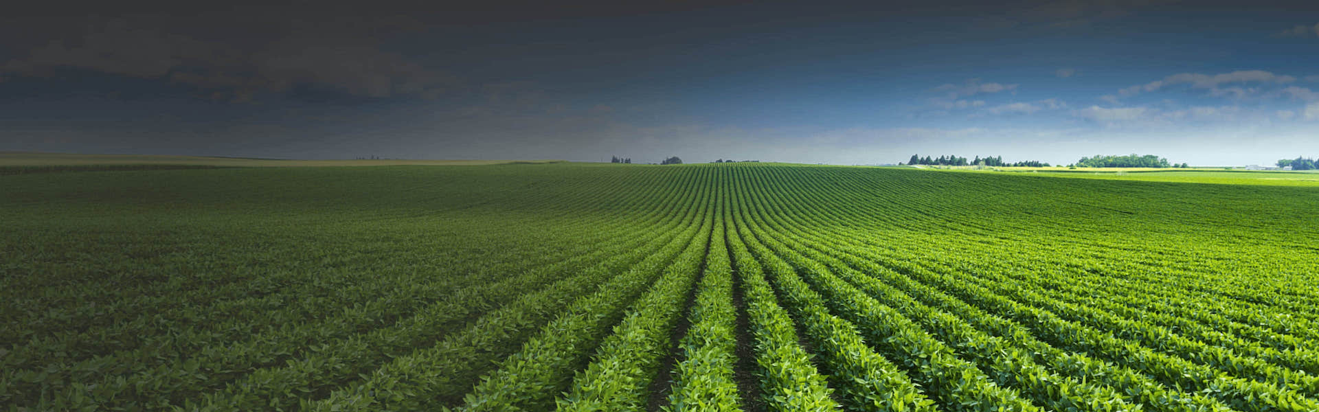 betway88·(中国区)官方网站