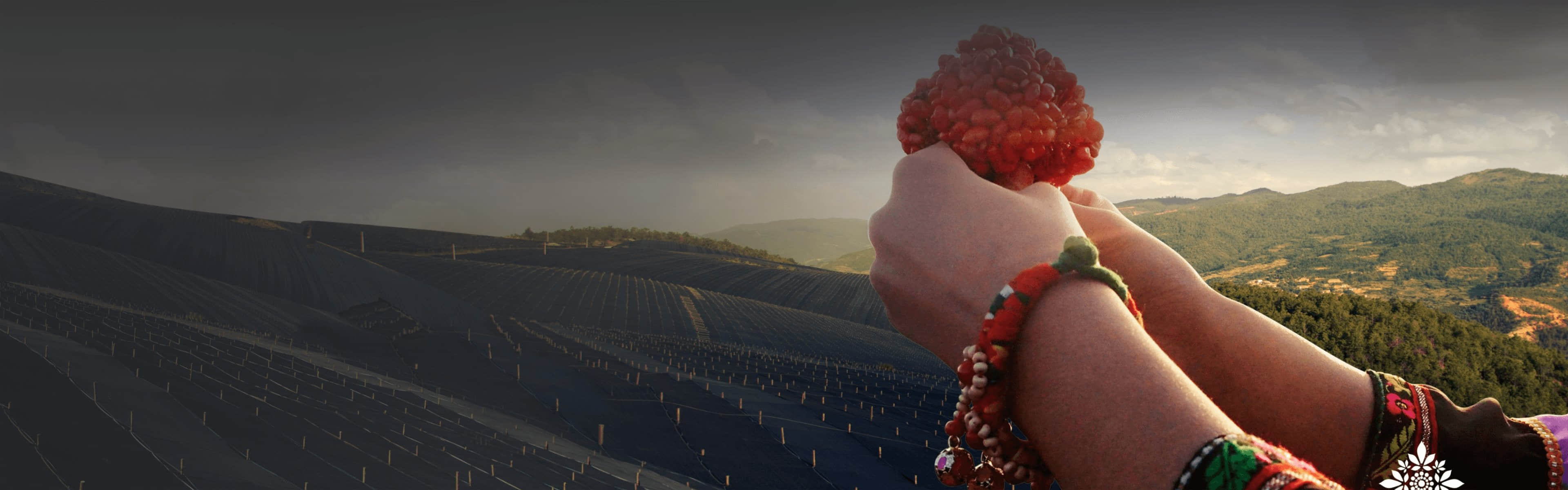 betway88·(中国区)官方网站