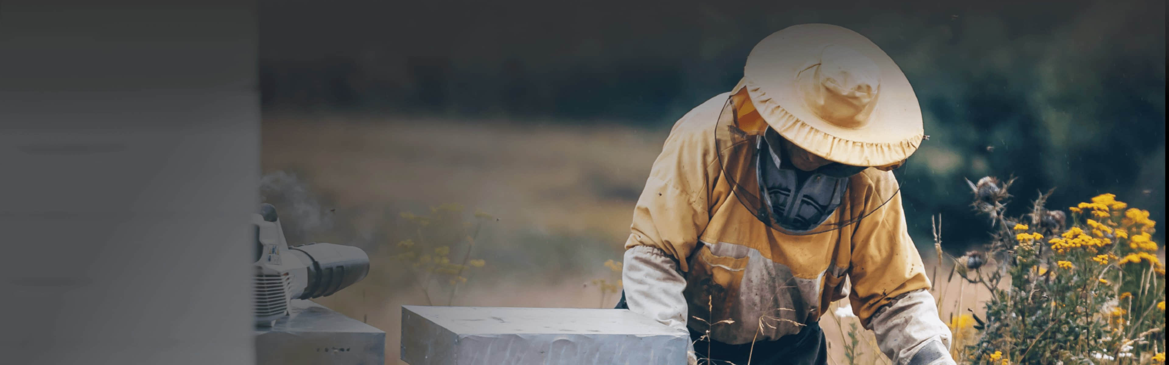 betway88·(中国区)官方网站