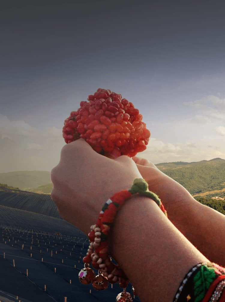 betway88·(中国区)官方网站