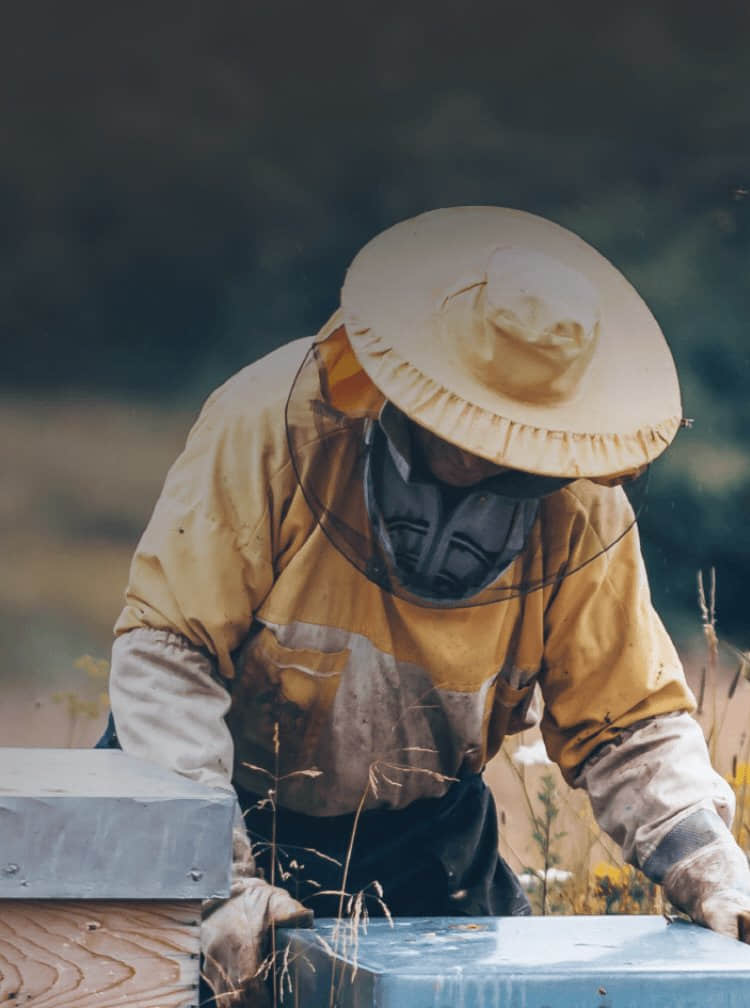 betway88·(中国区)官方网站