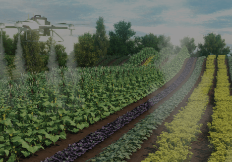 betway88·(中国区)官方网站