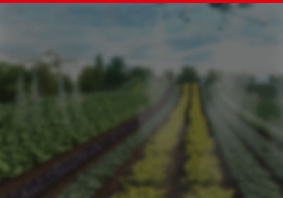 betway88·(中国区)官方网站